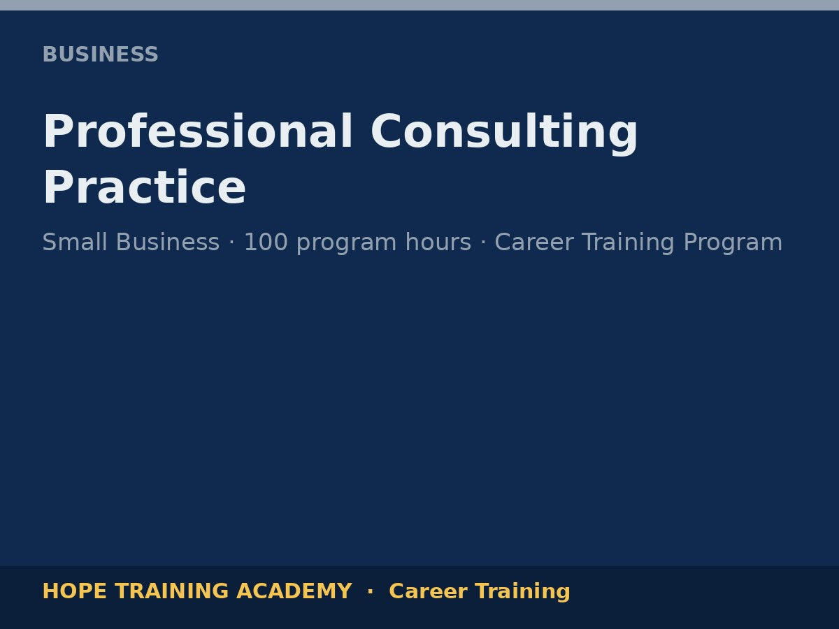 Professional Consulting Practice