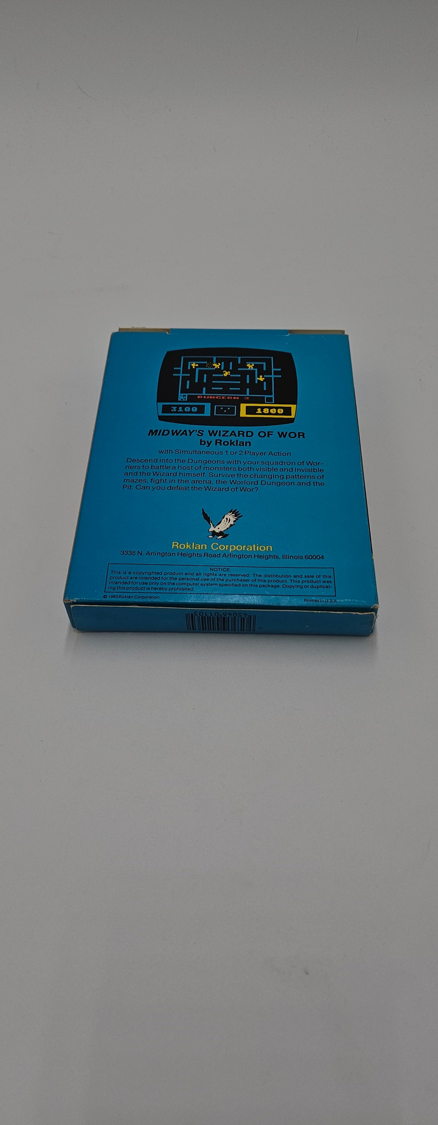 Ironsword: Wizards and Warriors 2 NES
